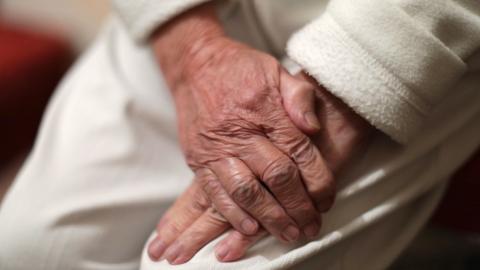 Elderly woman's hands