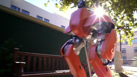 A robot walking through the campus at Caltec