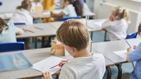 Primary schoolboy and girls doing schoolwork at classroom desks, rear view - stock photo