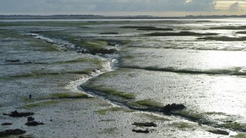 Langstone Harbour