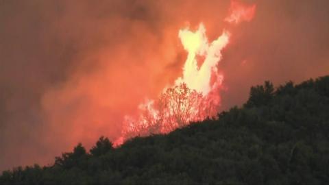 Wildfire in Northern California