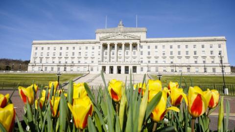 Tulips outside Parliament Buildings, Stormont, Belfast, home of the Northern Ireland Assembly.