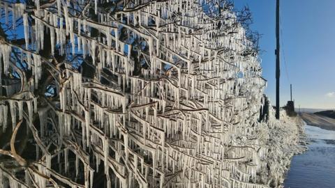 Bush branches are covered in ice and icicles along the side of a road