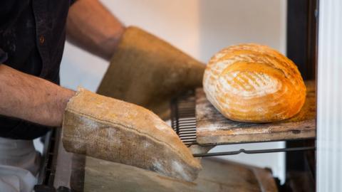 A sourdough loaf being taken out the oven