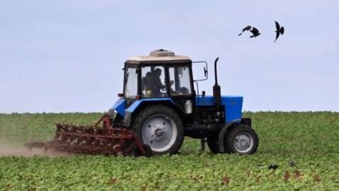 A man drives a tractor on a sunflowers field at a farm in southern Ukraines Odessa region on May 22, 2022, on the 88th day of the Russian invasion of Ukraine.