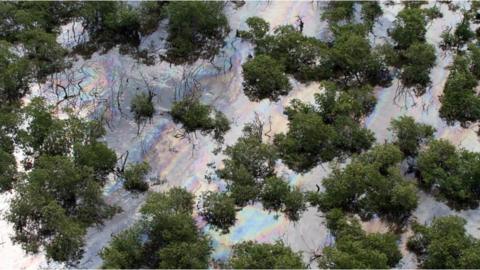 Oil spill on Brazil's Estrela river, which feeds into Guanabara Bay