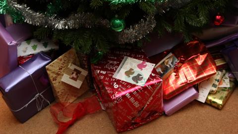 Presents under Christmas tree