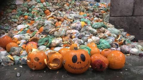 Pumpkins at food waste