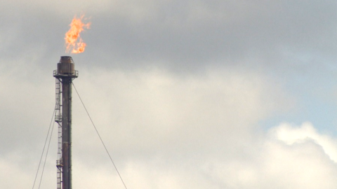 Mossmorran flaring