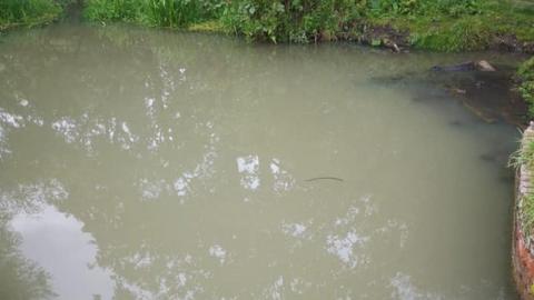 Moor Ditch in Thatcham