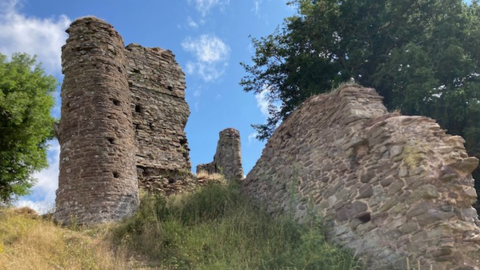 The remains of a stone castle with some yellow and green grass and trees in the background. 