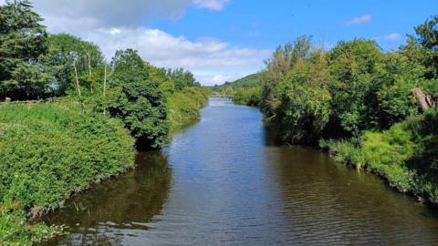 The picture shows King's Sedgemoor Drain.  The picture was taken on a sunny day.  There are green banks either side. A bridge is in the background.