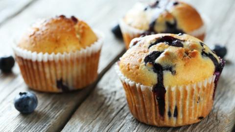 Blueberry muffins