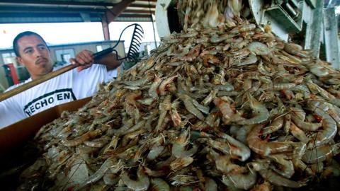 Global competition has some fishermen in South Carolina looking to Trump for help.