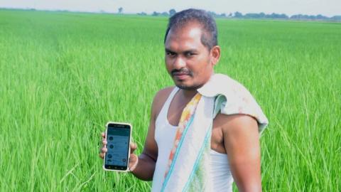 Rice farmer Voruganti Surendra in paddy field