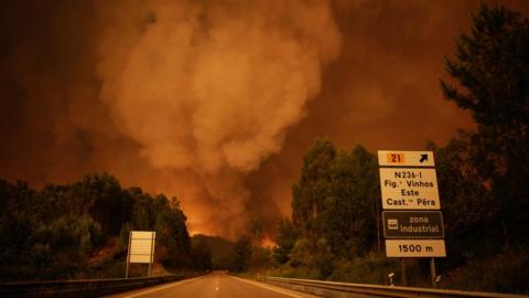 smoke rises abobe trees during a forest fire in Pedrogao Grande, Leiria District, Center of Portugal, 17 June 2017