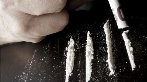 Lines of cocaine