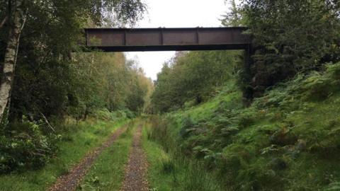 A leafy track which was a railway line with a bridge above