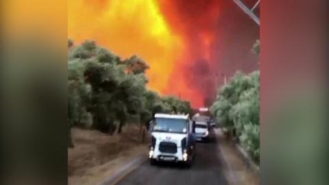 Tourists and local residents have been evacuated in Bodrum and Marmaris, as wildfires raged.