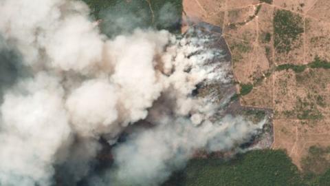 Satellite image of wildfires in Pará, Brazil