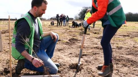 Tree planting in Alton