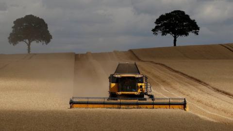 A combine harvester in a field