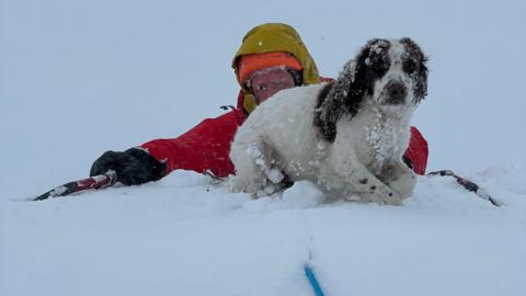 Cobhair ga dhèanamh air cù le ball bho sgioba-teasairginn nam beann