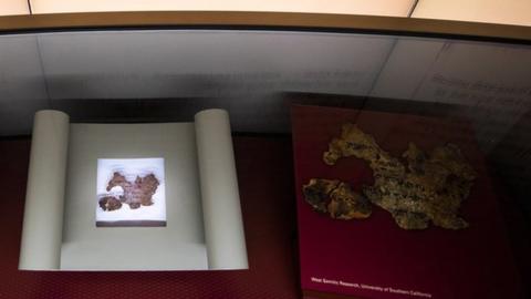 A tiny fragment of what the Museum of the Bible thought was part of the Dead Sea Scrolls (file photo)