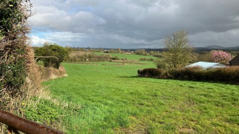 An empty green space where the development would be built