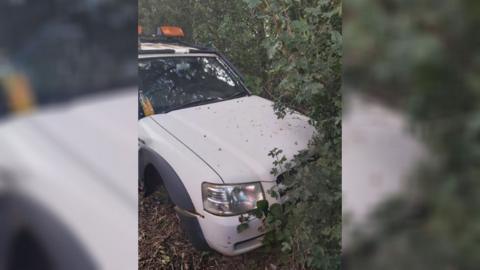 Ford Ranger truck crashed into bushes