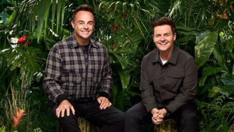Ant and Dec in the TV jungle