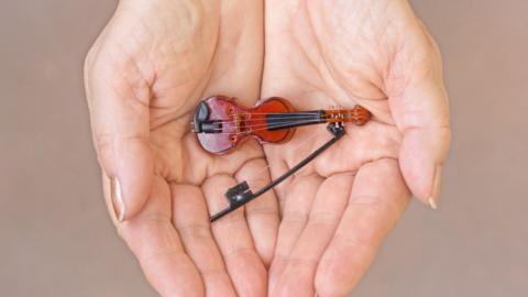 tiny violin