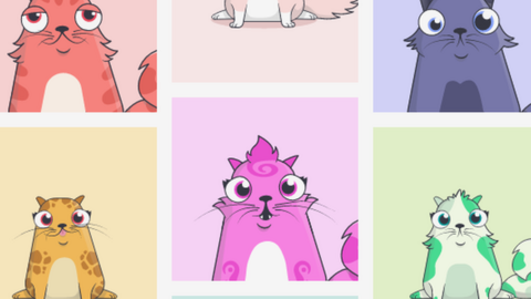 Photos of cartoon cats