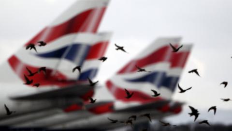 British Airways planes with birds flying past