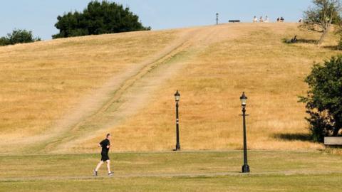 A man walks along the dry grass in Primrose Hill, north London
