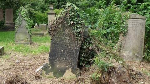 Old headstones covered in vines