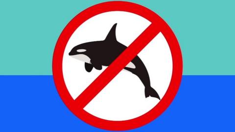 No orcas sign