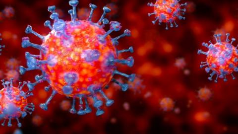 Coronavirus