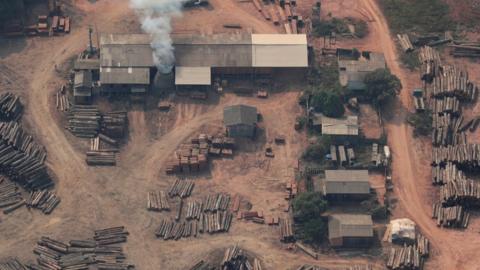 Aerial view of suspected illegal logging site (Reuters)