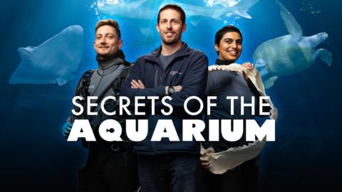 Secrets of the Aquarium