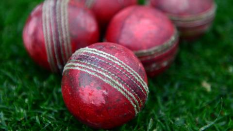 Cricket balls