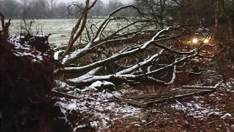 Trees down in Ambleside, Cumbria