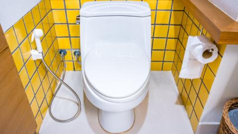 Toilet shown in cubicle