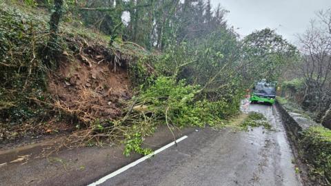 A green bus is stuck behind a fallen tree that is blocking a road with two lanes.