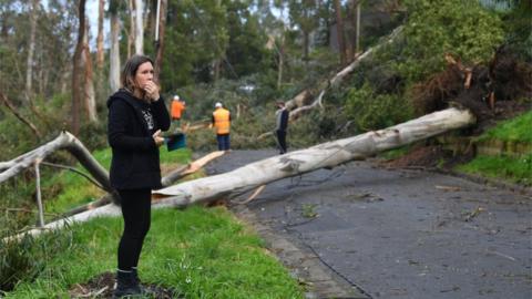 Local residents access the damage along Kaola Street in Belgrave, Melbourne, Victoria, Australia, 28 August 2020