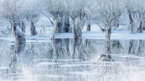 A frozen Santa Croce Lake from the province of Belluno, Italy