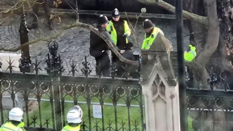 Man pictured in New Palace Yard