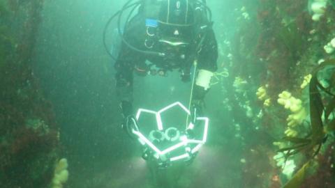 A diver capturing footage of the Racehorse wreck site