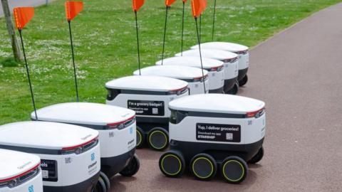 Food and supermarket delivery robots