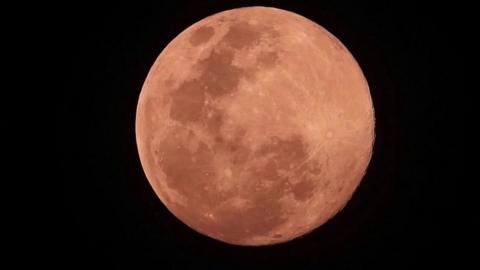 Pink supermoon